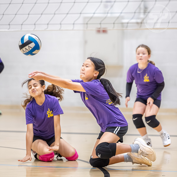 AAA Volleyball thumbnail