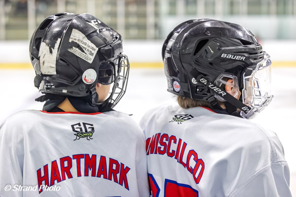 Hockey player skating during tournament action